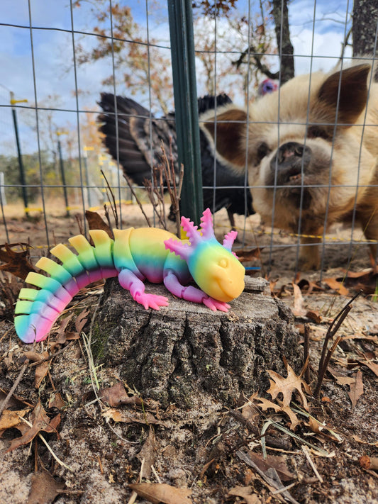 Axelotle Fidget Friend - 3D Printed with Love to Support Farm Animal Rescue